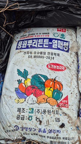 김호준님의 배 · 영농일지 작성글 사진