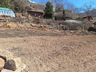 한정술님의 고구마 · 영농일지 작성글 사진