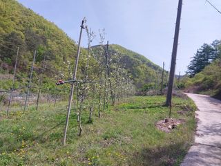 이진연님의 기타작물 · 영농일지 작성글 사진