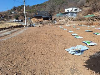 한정술님의 고구마 · 영농일지 작성글 사진