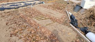 김영규님의 기타작물 · 영농일지 작성글 사진