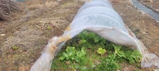 김정은님의 기타작물 · 영농일지 작성글 사진