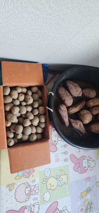 농업을꿈꾸다님의 기타작물 · 영농일지 작성글 사진