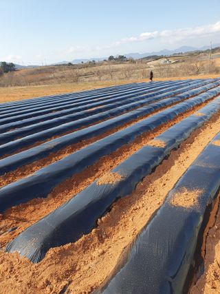 박정남님의 기타작물 · 영농일지 작성글 사진