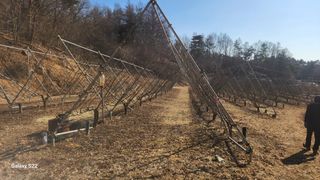 김준한님의 기타작물 · 영농일지 작성글 사진