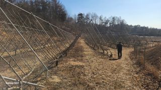 김준한님의 기타작물 · 영농일지 작성글 사진