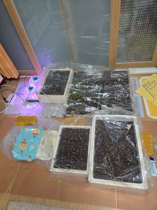 주말농장1님의 기타작물 · 영농일지 작성글 사진