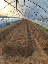 팜모닝 기타작물·영농일지 게시글 이미지