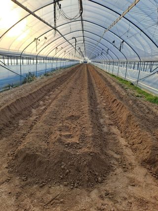 윤은성님의 기타작물 · 영농일지 작성글 사진