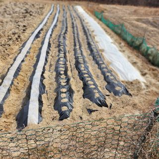 예진농산물님의 기타작물 · 영농일지 작성글 사진