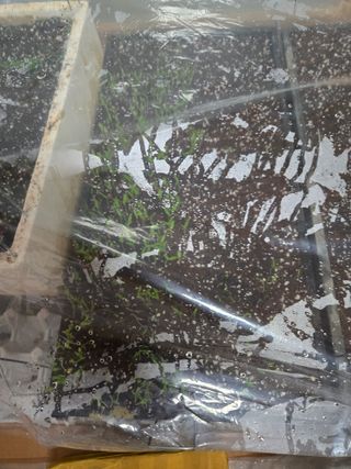 주말농장1님의 기타작물 · 영농일지 작성글 사진