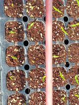 팜모닝 기타작물·영농일지 게시글 이미지