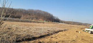 신승철님의 기타작물 · 영농일지 작성글 사진