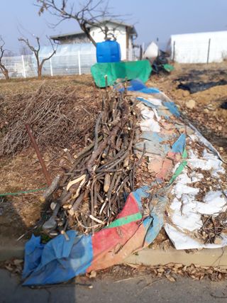 최명진님의 기타작물 · 영농일지 작성글 사진