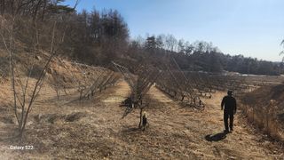 김준한님의 기타작물 · 영농일지 작성글 사진