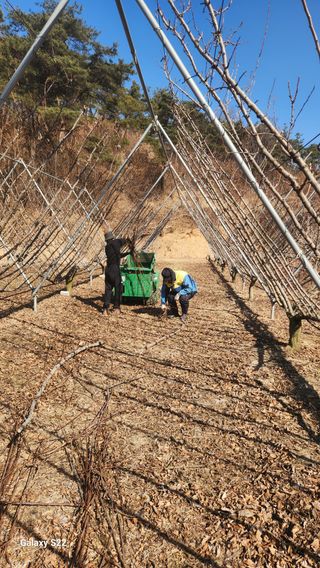 김준한님의 기타작물 · 영농일지 작성글 사진