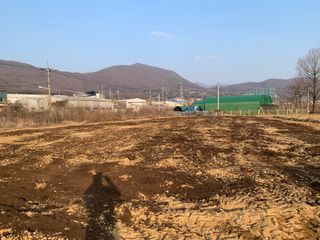 백용구님의 두릅 · 영농일지 작성글 사진