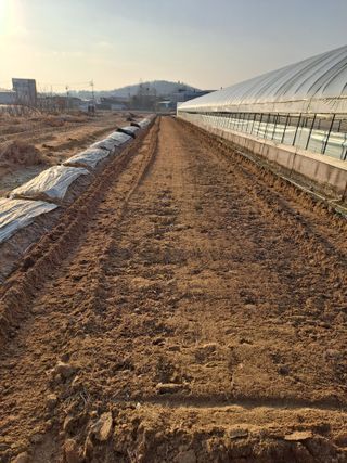 윤은성님의 기타작물 · 영농일지 작성글 사진