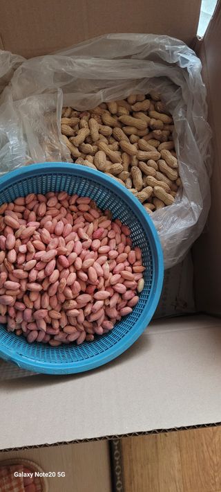 김동제님의 기타작물 · 영농일지 작성글 사진