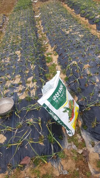 문재웅님의 기타작물 · 영농일지 작성글 사진