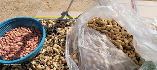 김동제님의 기타작물 · 영농일지 작성글 사진