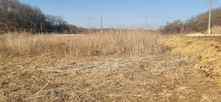 신승철님의 기타작물 · 영농일지 작성글 사진