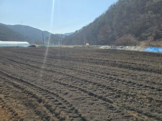 김진환님의 기타작물 · 영농일지 작성글 사진