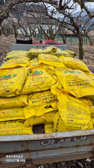 김호준님의 배 · 영농일지 작성글 사진