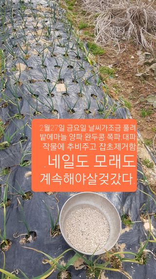 문재웅님의 기타작물 · 영농일지 작성글 사진