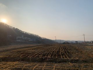 백용구님의 두릅 · 영농일지 작성글 사진