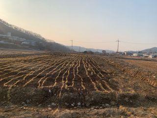 백용구님의 두릅 · 영농일지 작성글 사진