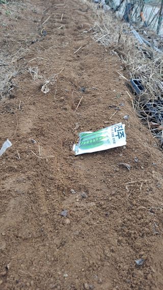 MSG0074님의 기타작물 · 영농일지 작성글 사진