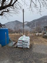 팜모닝 기타작물·영농일지 게시글 이미지