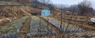 동동이님의 기타작물 · 영농일지 작성글 사진