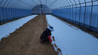 귀촌의꿈님의 파 · 영농일지 작성글 사진