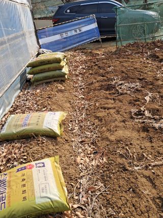 최한기님의 기타작물 · 영농일지 작성글 사진