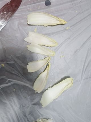 별빛나그네화성님의 기타작물 · 영농일지 작성글 사진