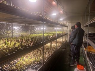 손 무현님의 기타작물 · 영농일지 작성글 사진