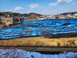 하늘아래삼 님의 기타작물 · 영농일지 작성글 사진