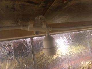 손 무현님의 기타작물 · 영농일지 작성글 사진