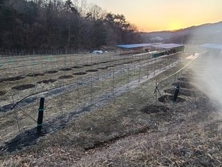 속리산정이품농원님의 기타작물 · 영농일지 작성글 사진