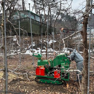오영세님의 기타작물 · 영농일지 작성글 사진