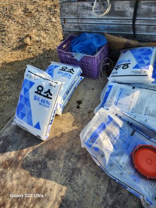 박종권님의 마늘 · 영농일지 작성글 사진