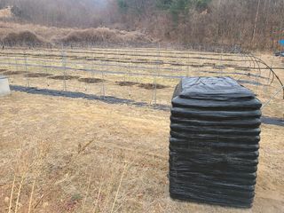 속리산정이품농원님의 기타작물 · 영농일지 작성글 사진