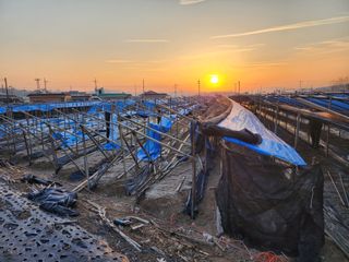 하늘아래삼 님의 기타작물 · 영농일지 작성글 사진