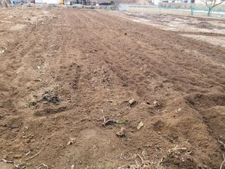 오경님의 감자 · 영농일지 작성글 사진