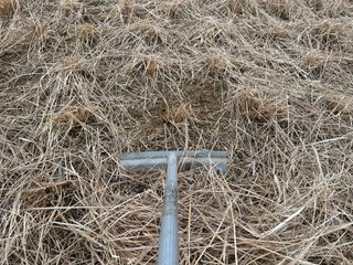 오성균님의 기타작물 · 영농일지 작성글 사진