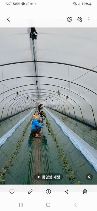 Smy1245678님의 기타작물 · 영농일지 작성글 사진