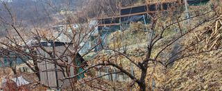 동동이님의 기타작물 · 영농일지 작성글 사진