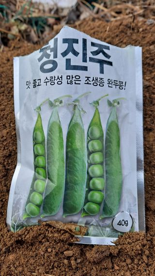 MSG0074님의 기타작물 · 영농일지 작성글 사진